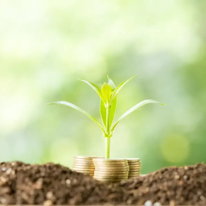 Sustainable Finance as a Driver for Change